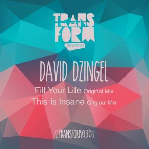 Download track Fill Your Life David Dzingel