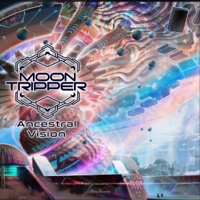 Download track The Next Generation Moon Tripper