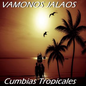 Download track Me Diste A Probar Cumbias Tropicales