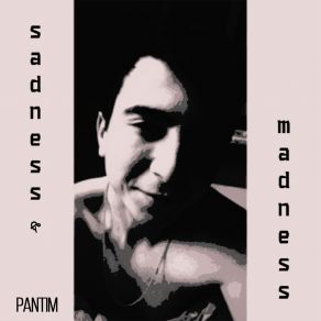 Download track Sadness PanTim