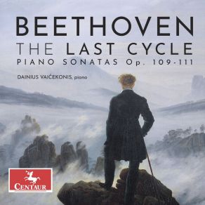 Download track Piano Sonata No. 31 In A-Flat Major, Op. 110: III. Adagio Ma Non Troppo - Allegro Ma Non Troppo Dainius Vaicekonis