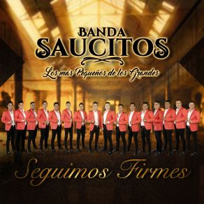 Download track Te VI Banda SaucitosLos Lideres De La Banda