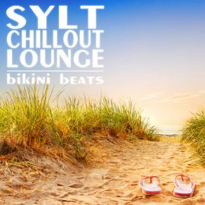 Download track Maledives Beach Lounge (Buddha In A Bar Mix) Bikini Beats