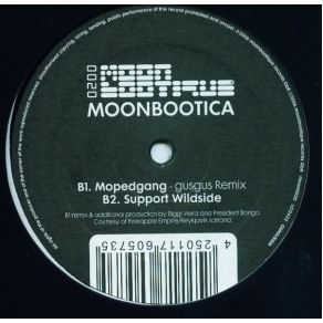 Download track Unless You Don'T Give A Fuck Moonbootica