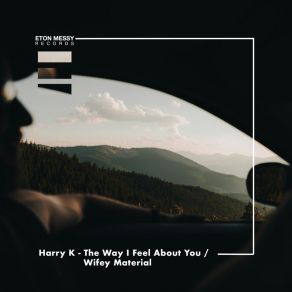 Download track The Way I Feel About You Harry K.