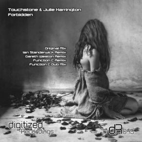 Download track Forbidden (Function C Dub Mix) Julie Harrington, TouchstoneFunction C