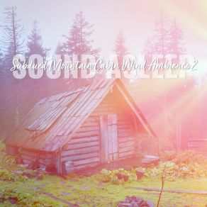 Download track Subdued Mountain Cabin Wind Ambience, Pt. 18 Elijah Wagner