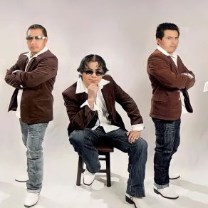 Download track Cholita Zulema Grupo Manantial De Bolivia