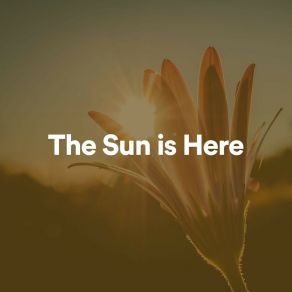 Download track The Sun Is Here, Pt. 2 Relaxing Guru