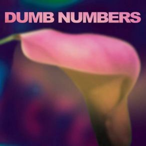 Download track The Broken Promise Dumb Numbers