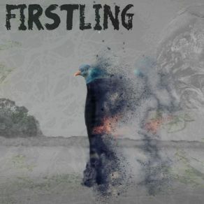 Download track New Material Firstling