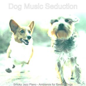 Download track Vivacious Ambiance For Separation Anxiety Dog Music Seduction