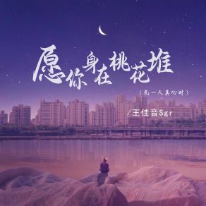 Download track 愿你身在桃花堆 (无一人真心对, 伴奏) 王佳音Sgr