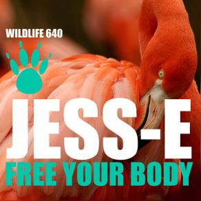 Download track Free Your Body Jesse