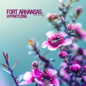 Download track Hypnotizing (Original Mix) Fort Arkansas