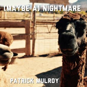 Download track (Maybe A) Nightmare Patrick Mulroy