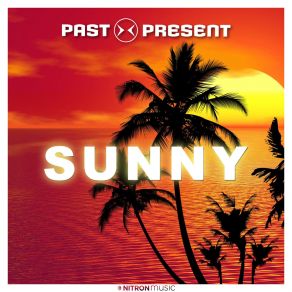 Download track Sunny (Bodybangers Extended Mix) Present Past