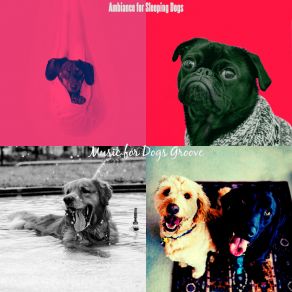 Download track High Class Lonely Dogs Music For Dogs Groove