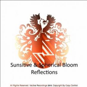 Download track Reflections (Luca De Maas Remix) Spherical Bloom, Sunsitive