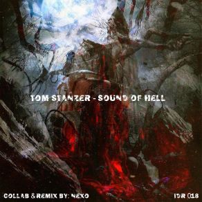 Download track Rollercoaster From Hell (Original Mix) Tom Stanzer