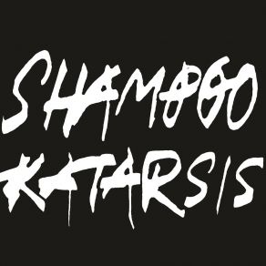 Download track Can’t Say That I Don’t Care Shampoo