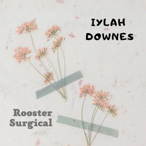 Download track The Lonelier Rise Iylah Downes