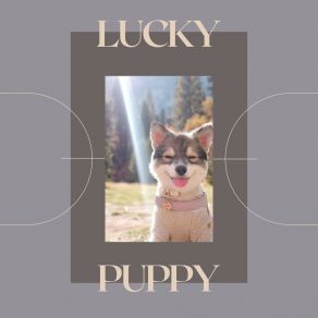 Download track About The Pup Puppy Music