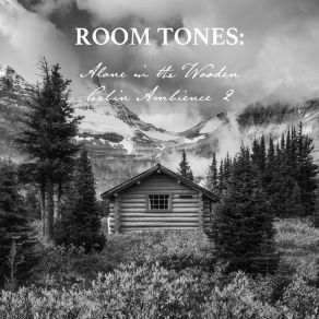 Download track Alone In The Wooden Cabin Ambience, Pt. 16 Nowak Sommer