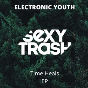 Download track Time Heals Electronic Youth