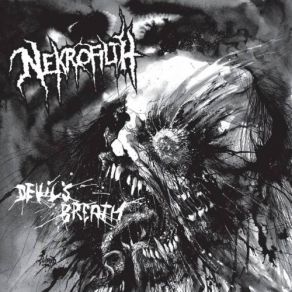 Download track Blood Bug Nekrofilth