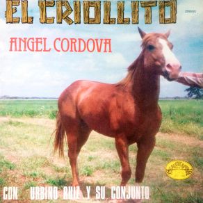 Download track Amor Equivocado Angel Cordova