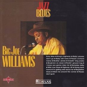 Download track Baby Left Town Big Joe Williams