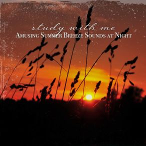 Download track Amusing Summer Breeze Sounds At Night, Pt. 4 Sebastian Riegl