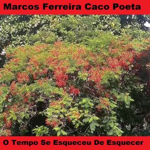 Download track A Flor Marcos Ferreira Caco Poeta