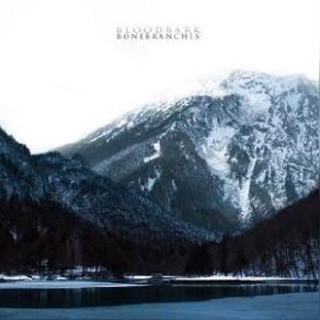 Download track Eyeless Winter Bloodbark