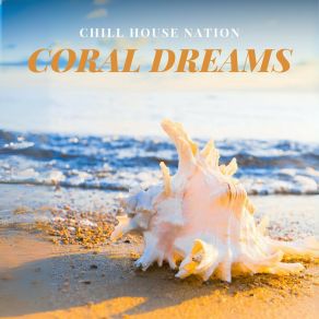 Download track Urban Groove Chill House Nation