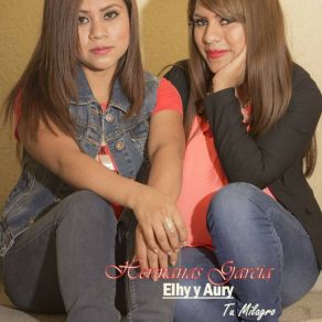 Download track Por Amor Al Dinero 8 Hermanas García Elhy