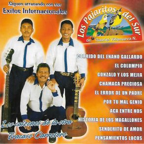 Download track El Error De Un Padre Los Pajaritos Del Sur