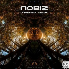 Download track Unframed NOBIZ