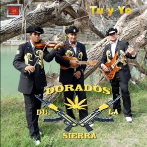 Download track A La Moda Dorados De La Sierra