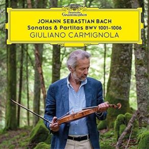 Download track 17. Partita For Violin Solo No. 1 In B Minor, BWV 1002 - 5. Sarabande Johann Sebastian Bach