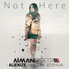 Download track Not Here (Instrumental) Zak Joshua