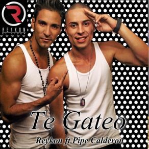 Download track Te Gateo (Pipe Calderón) Reykon