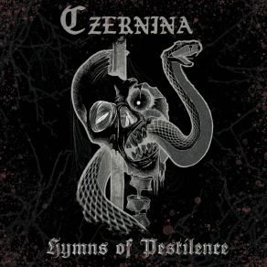 Download track Death Smiles At Us All Czernina