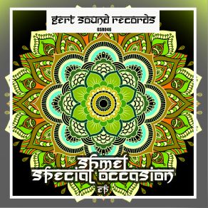 Download track Special Occasion (Original Mix) Shmel