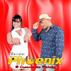 Download track Vaqueirinho Banda Phoenix