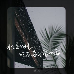 Download track 北方的风吹不落江南的雨 (伴奏) Wei Lai