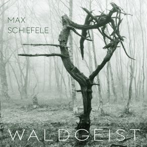 Download track Irrlichter Max Schiefele