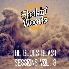 Download track Take A Step Back Shakin' Woods