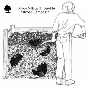 Download track Music Therapy Arbor Village Ensemble